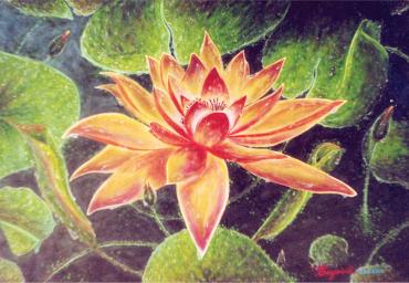2004 – Ninféia Sulfúrea – Acrílica s tela – estilo impressionista